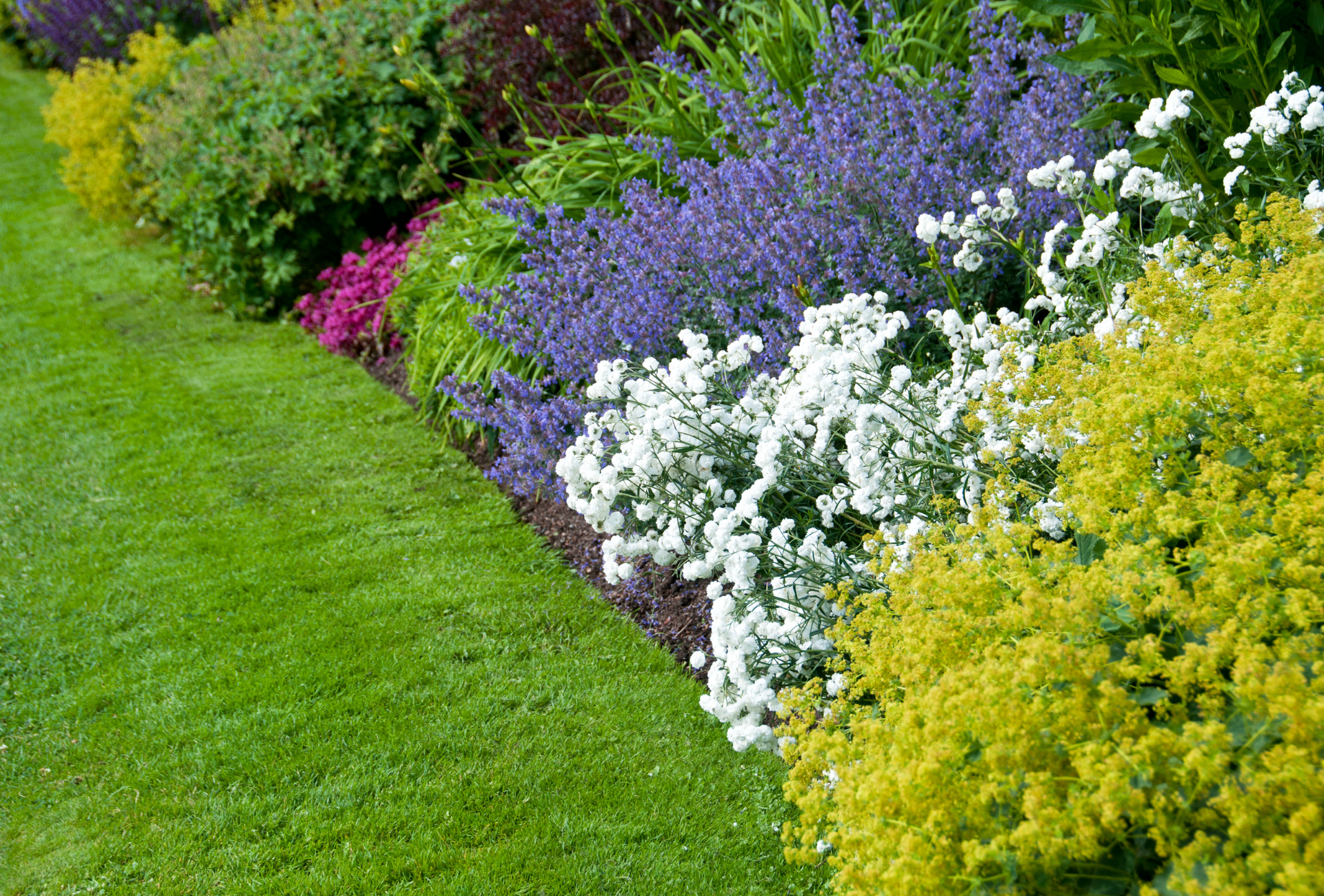 Prevención de plagas en jardines de Rivas: cómo mantener las zonas comunes protegidas todo el año
